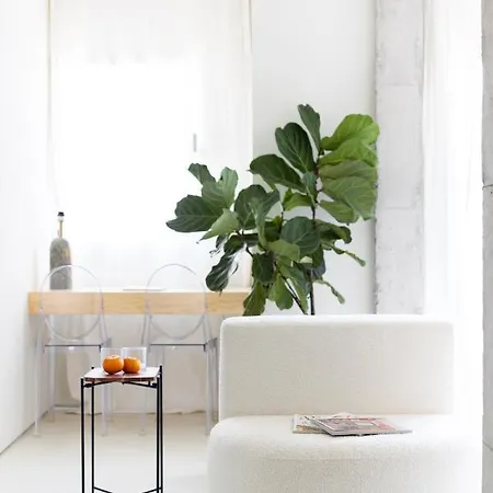 Home2Book Design Diamond Estudio Santa Cruz Buitenkant foto